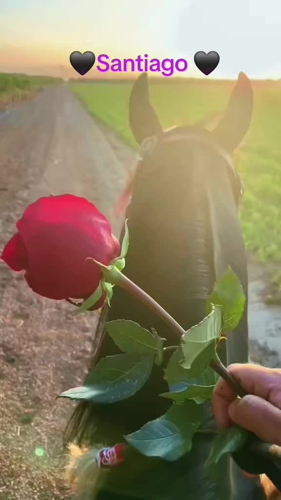 @โฑ๐ค๐๐๐๐๐๐๐๐๐ค๐