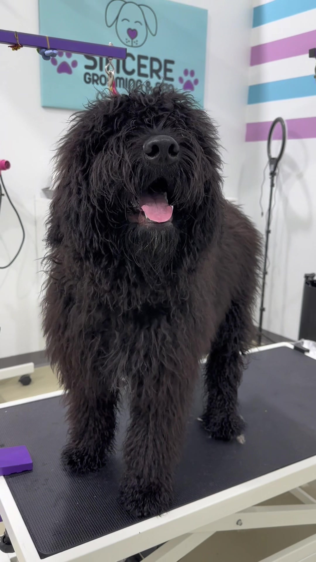 @Sincere Groomer