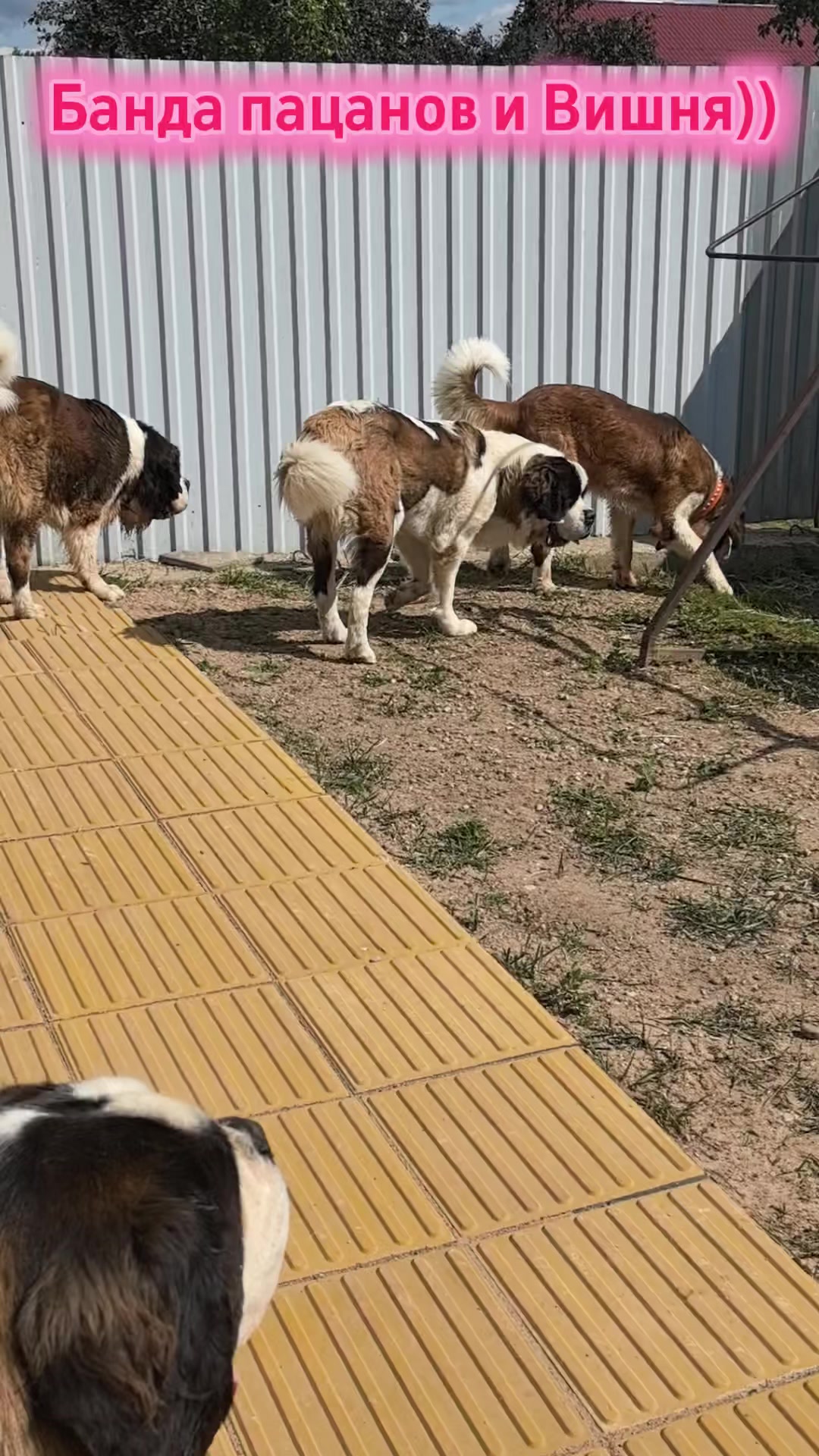 @Людмила