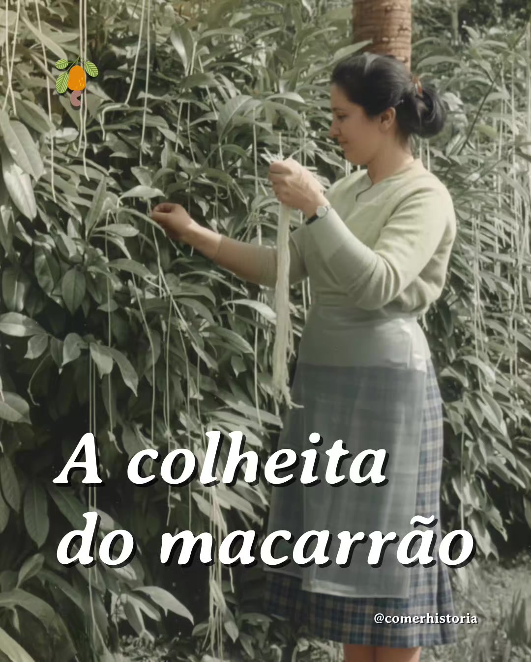 @Comer História