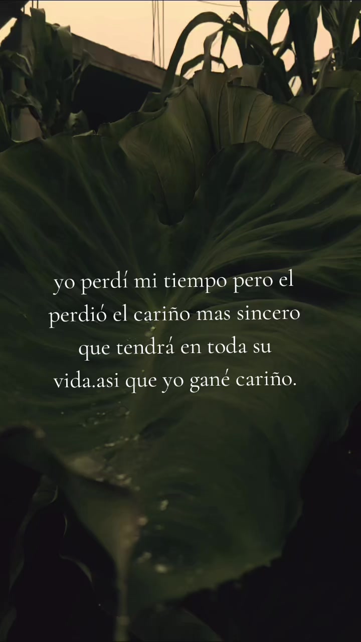 @Odalis Tom&aacute;s