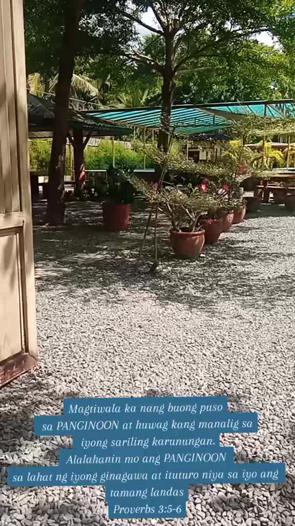 @Almaynee