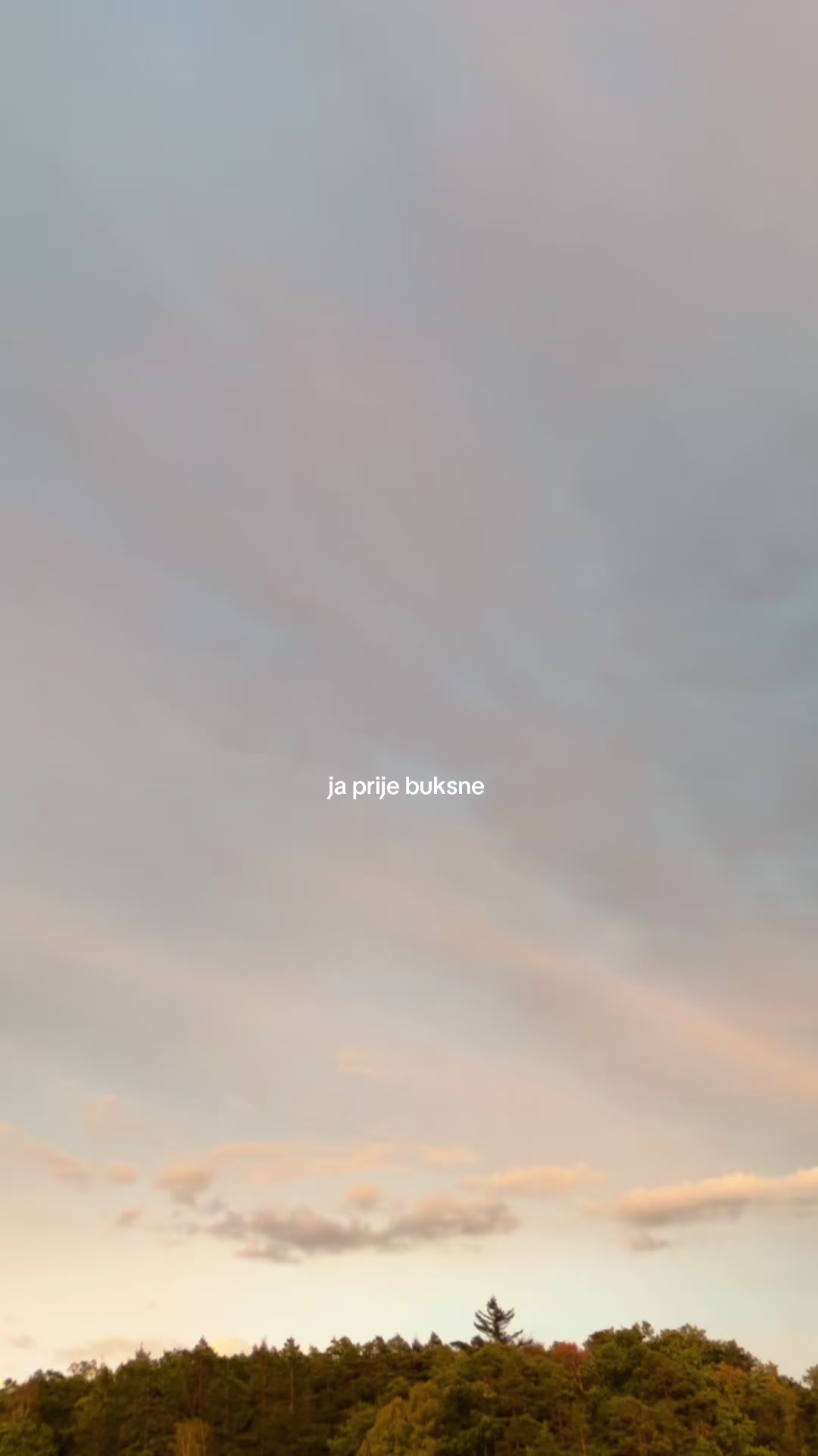 @kojikk