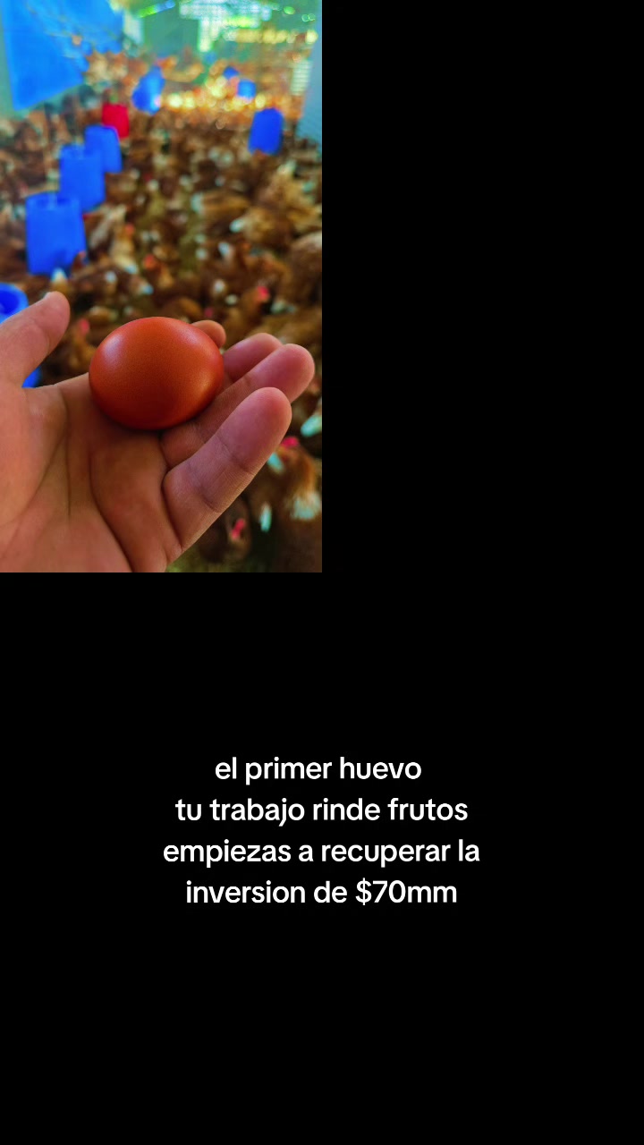 @El Gallinero de Carlos
