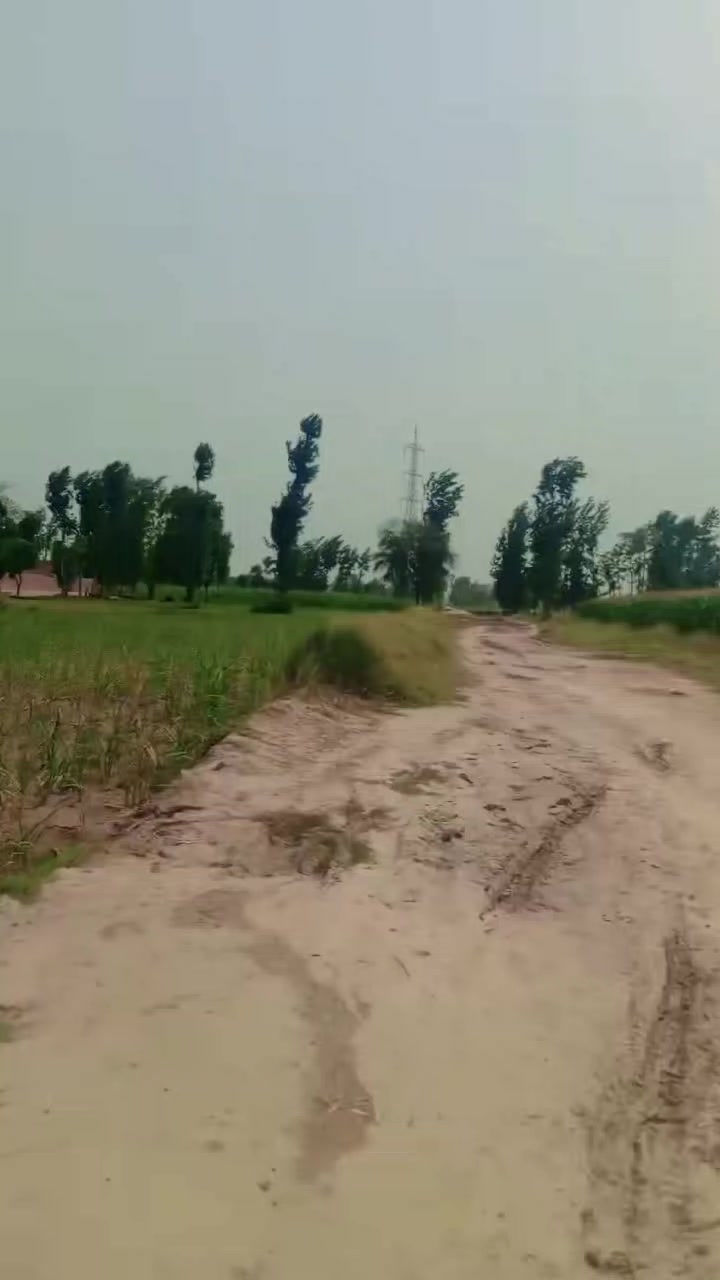 @MaharAwaisAlisipra