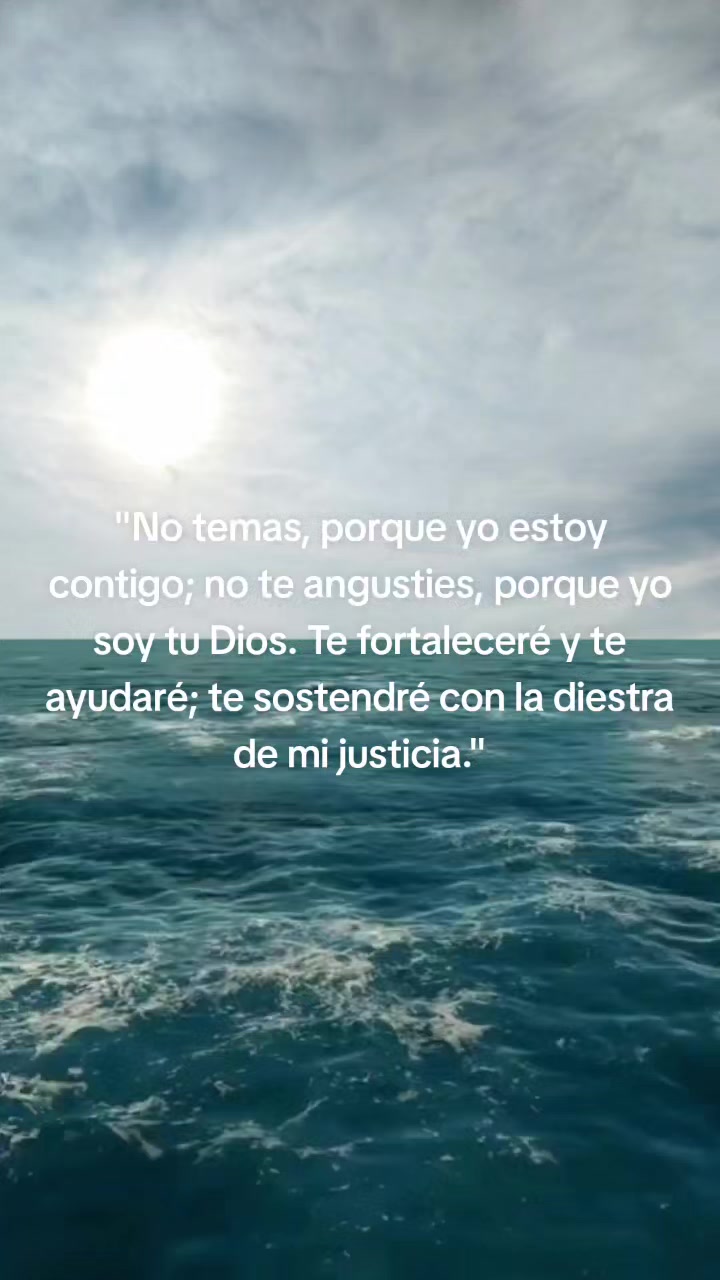 @Elfego Lopez