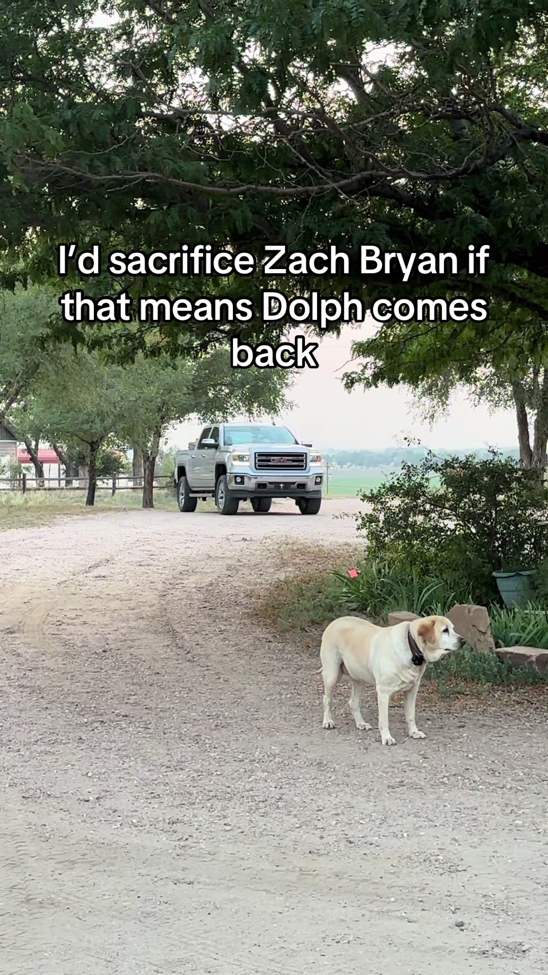 @Ryan Y 🦆