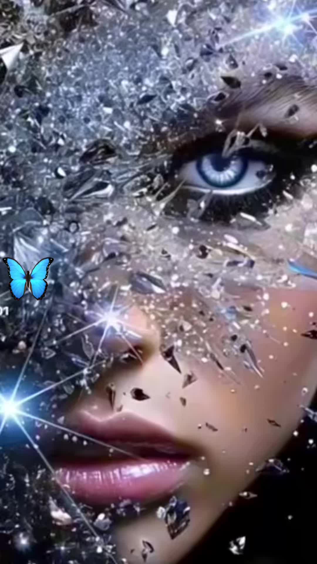 @borboleta2867