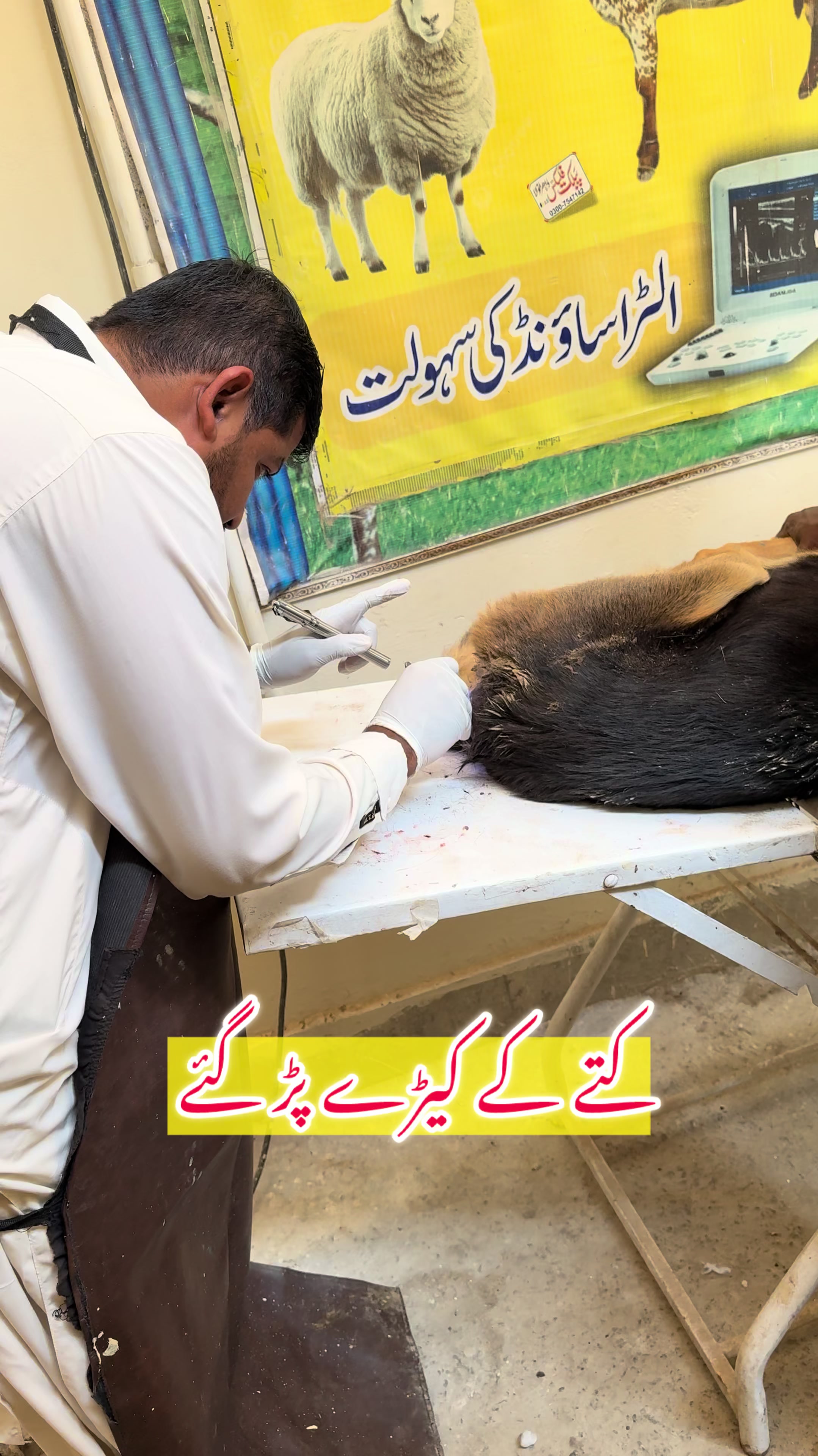 @Dr.Mohsin
