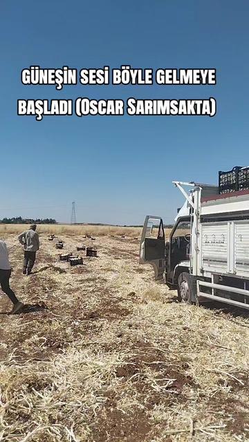 @👑AYKUT TALİP👑