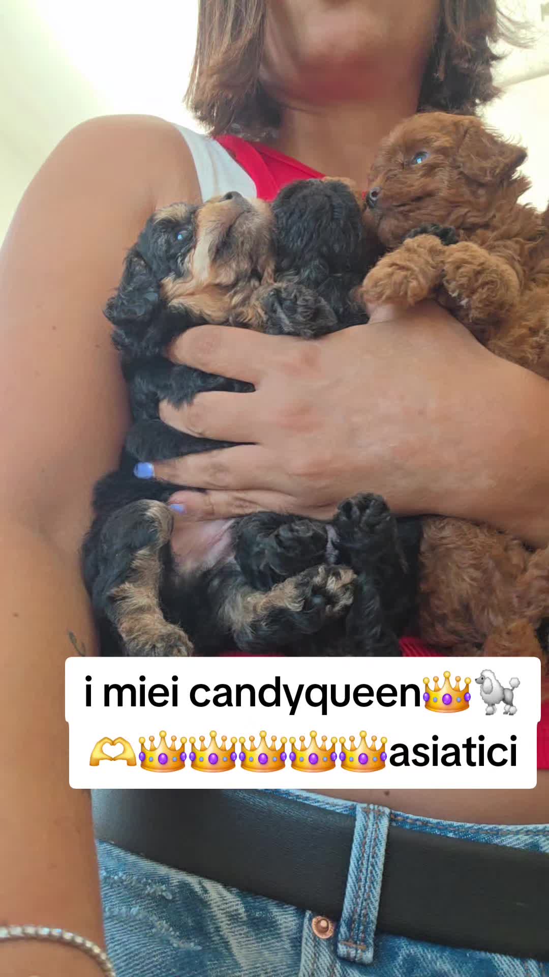 @CandyQueen👑🐩