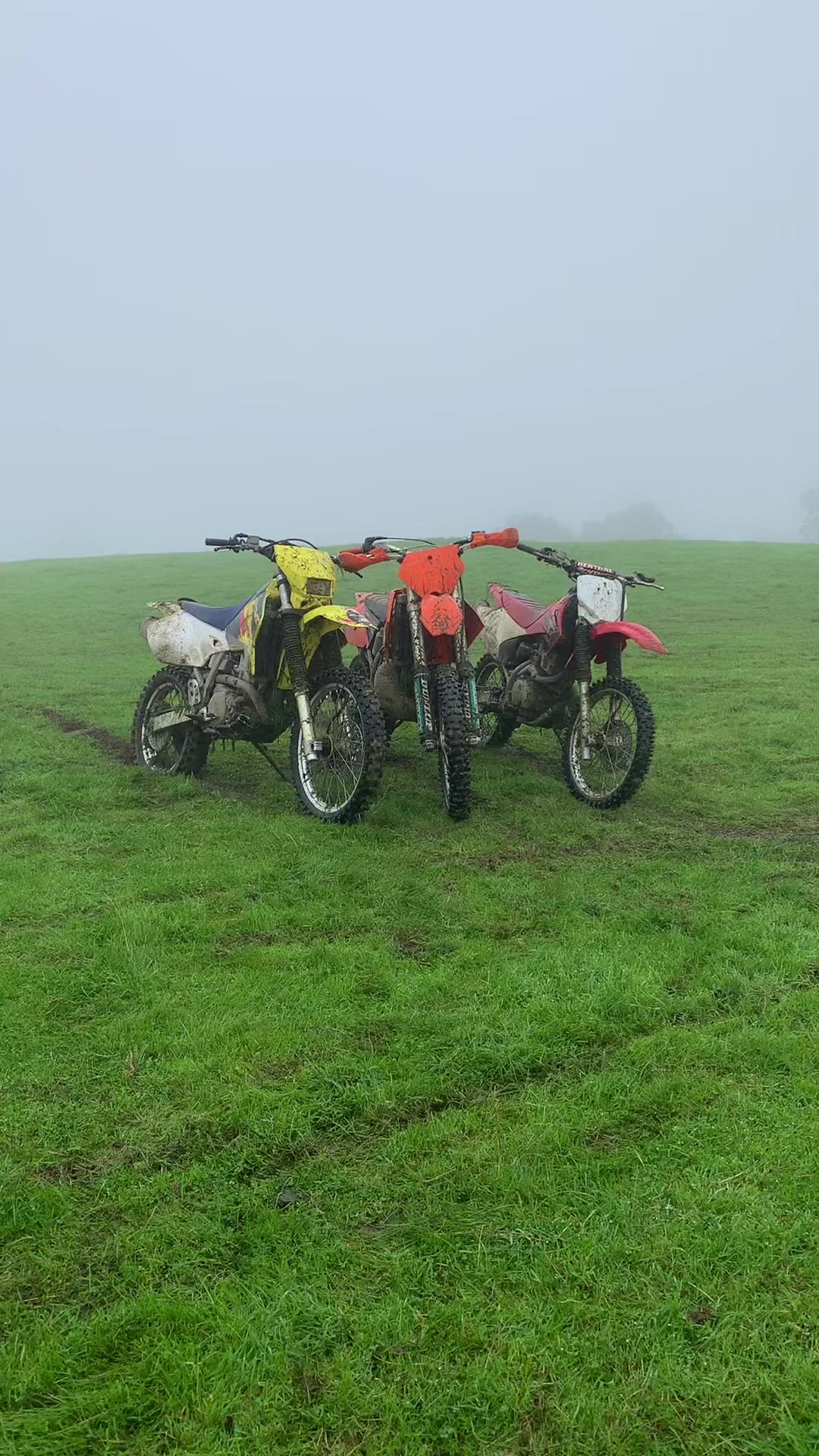 @DRZ Toby🫠