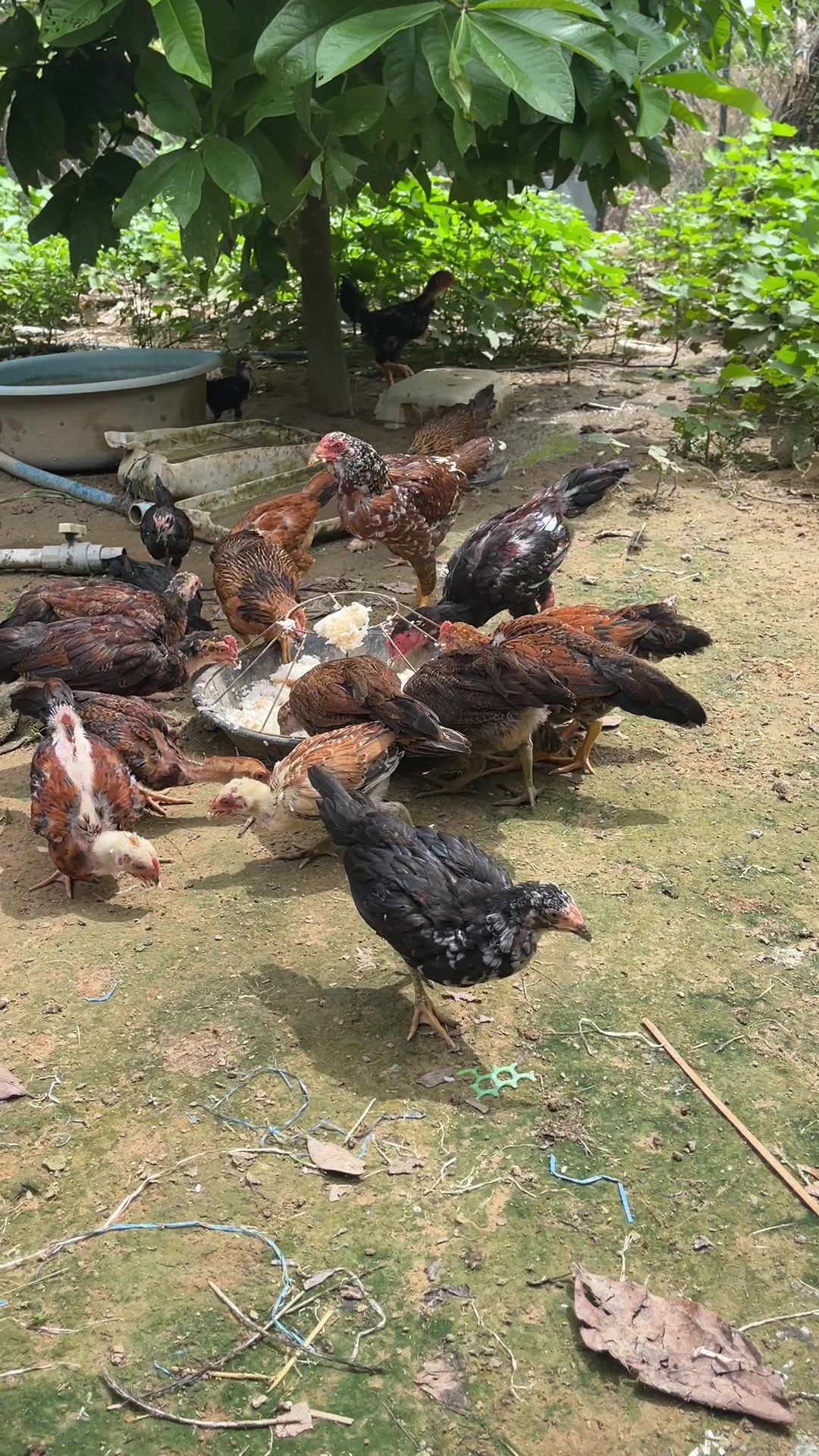 @Lê diễm hồng