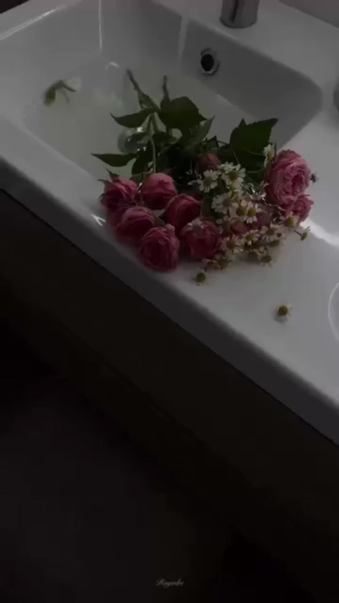 @rayvibe