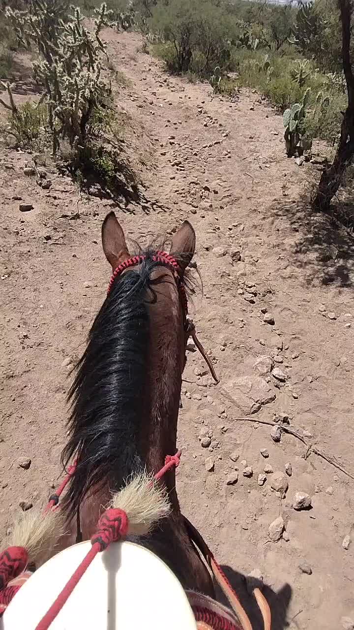 @Herrera 55333