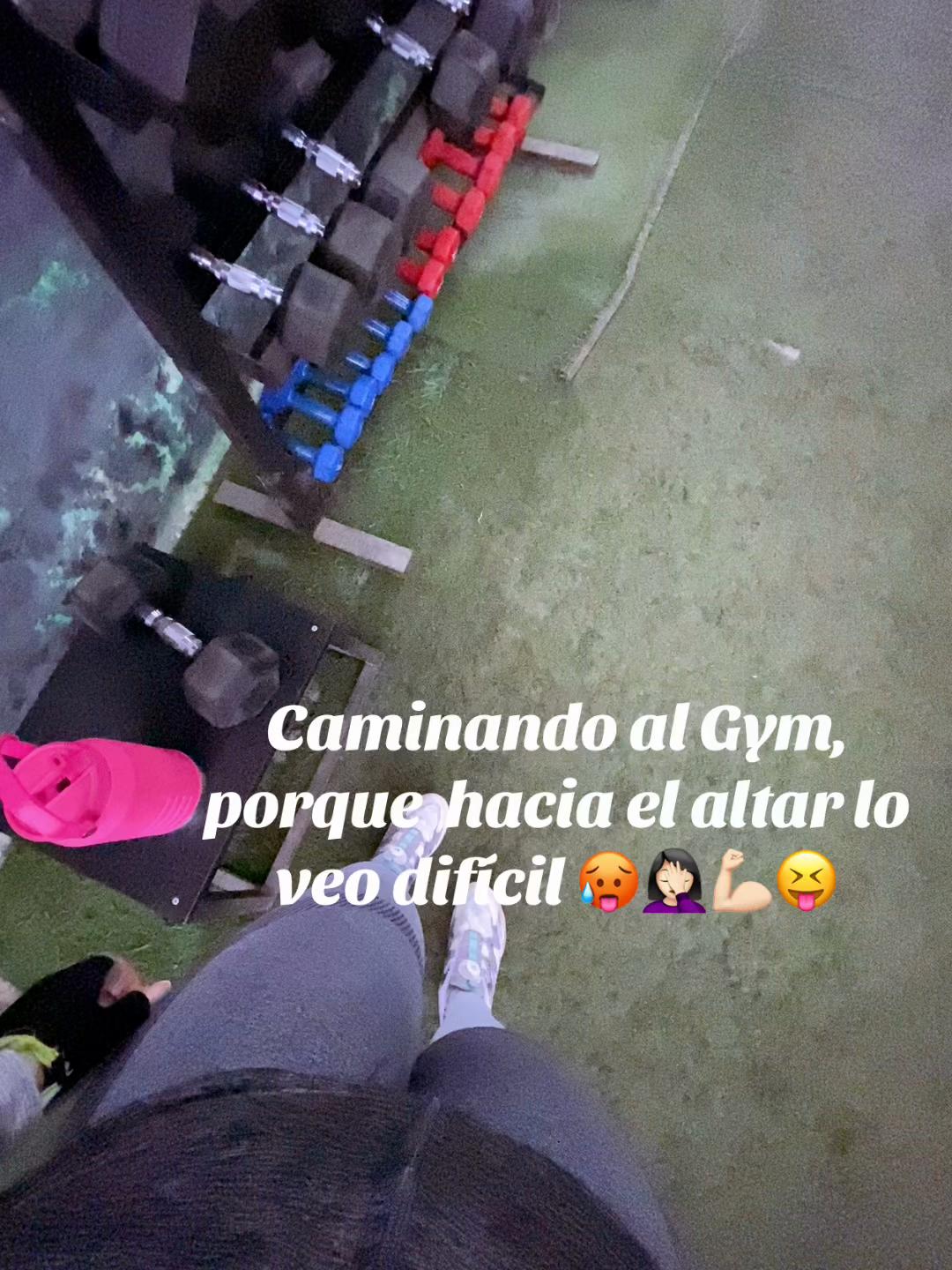 @Viviana Rodas