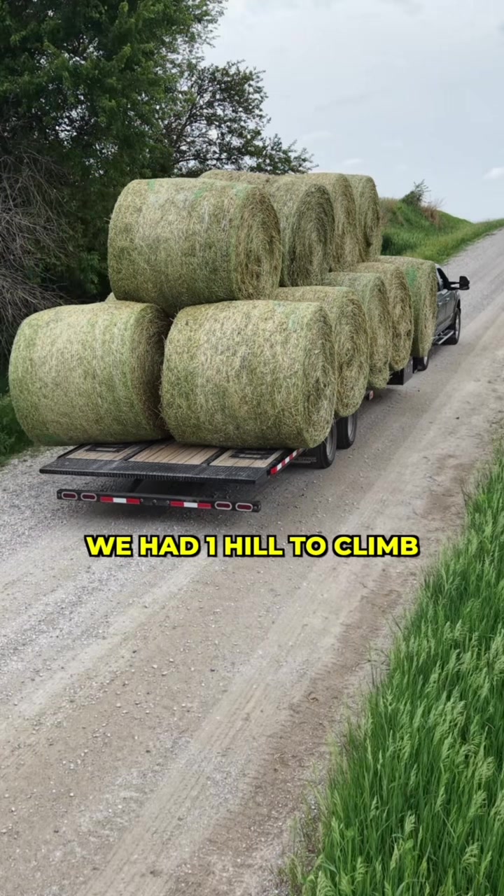 @Hilbert Farms
