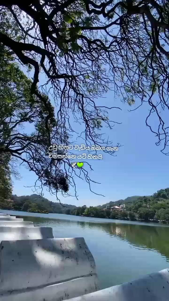 @Vihagi Thakshila🧚&zwj;♀️