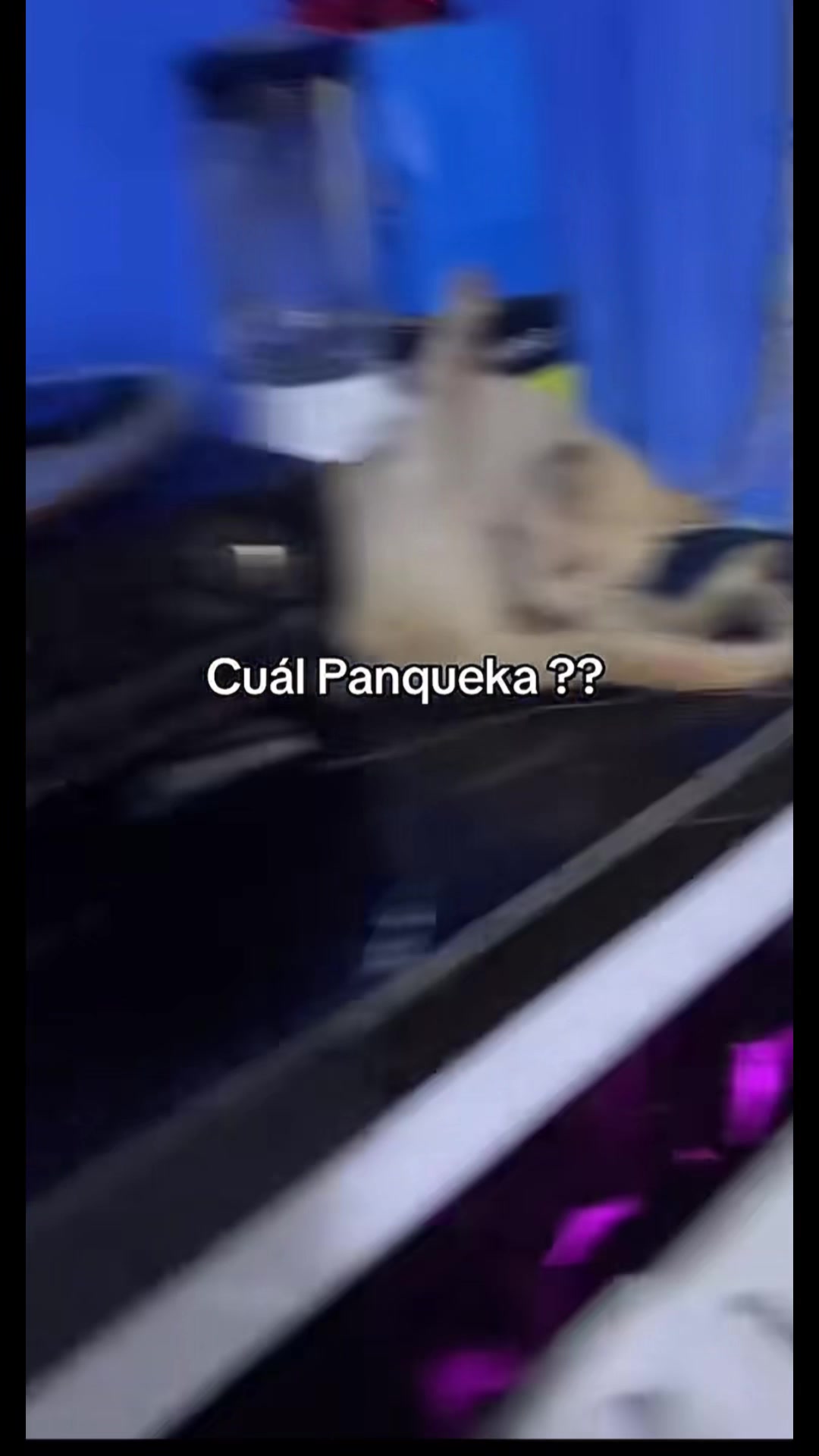 @LaDemencia🥷🏻🌪️