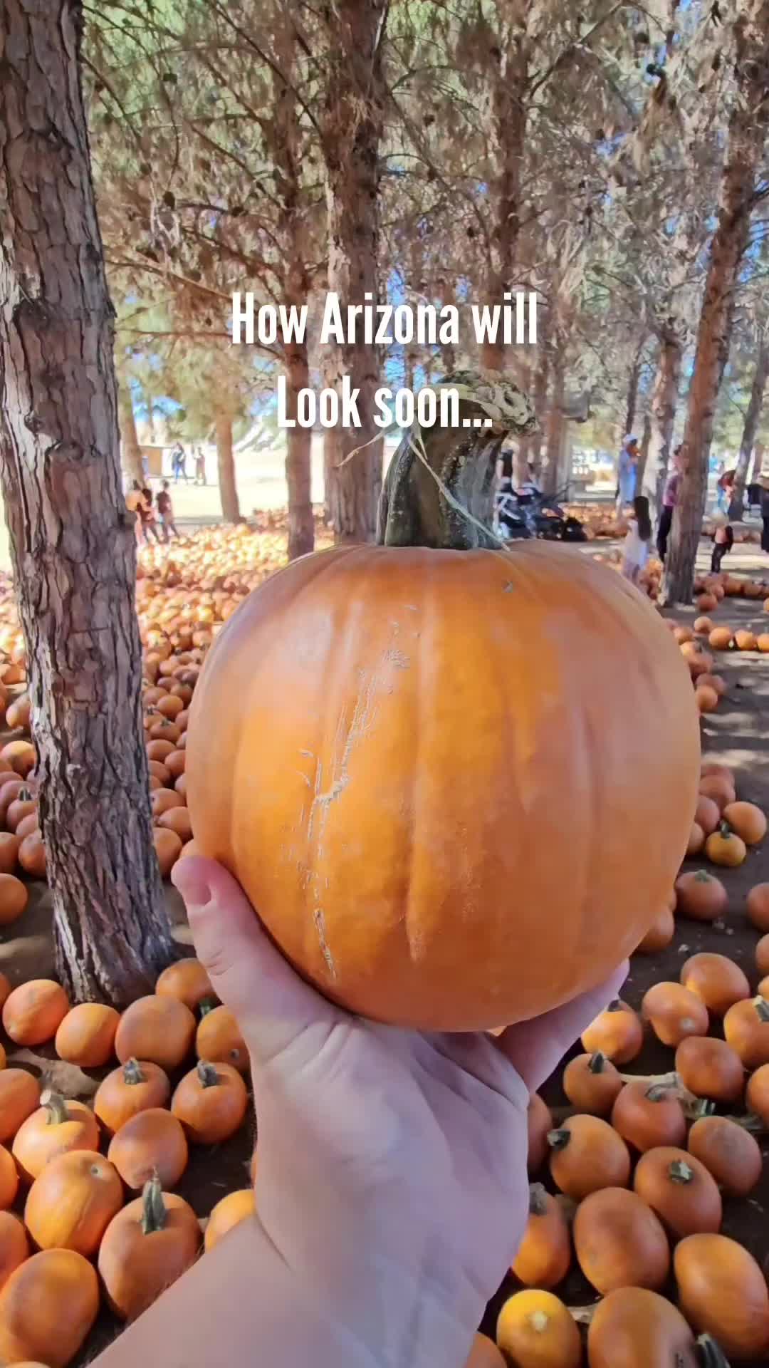 @letthemeatthis