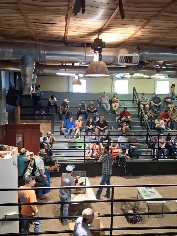 @el de la tacoma
