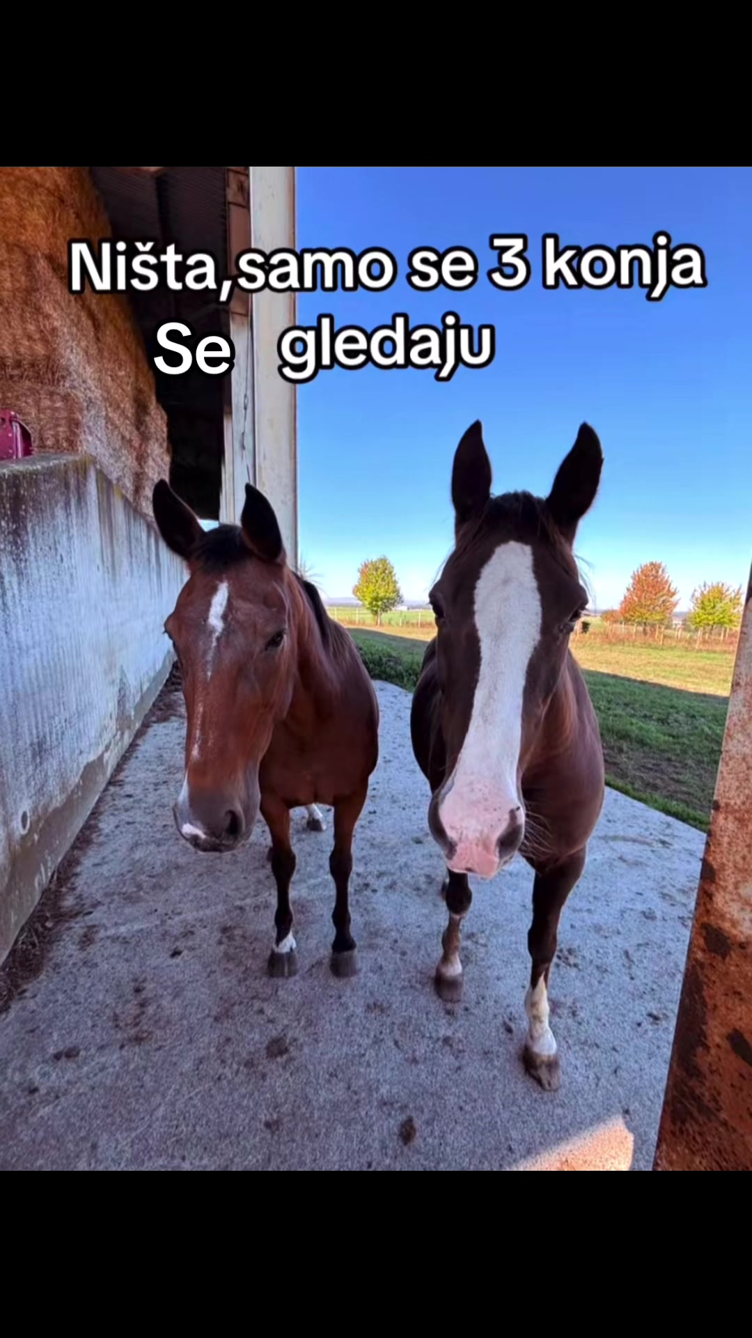 @𝕹𝕰𝖃𝕺 ᴺᴱˣᴼ