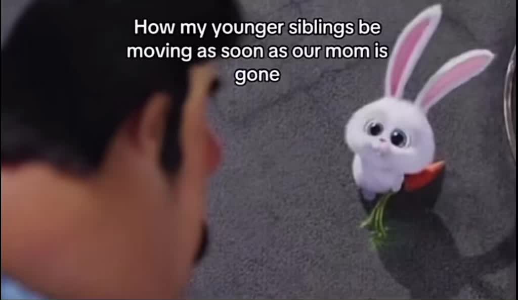 @🐇