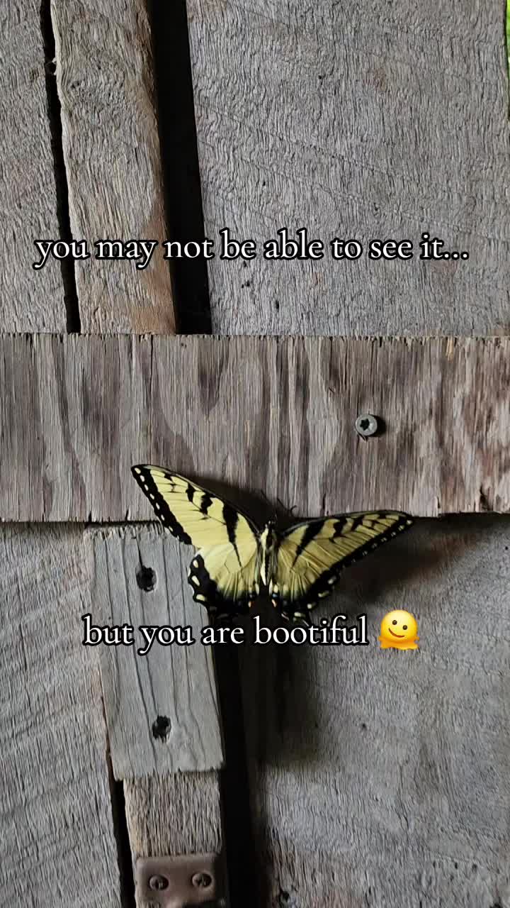 @Mwesterfield73