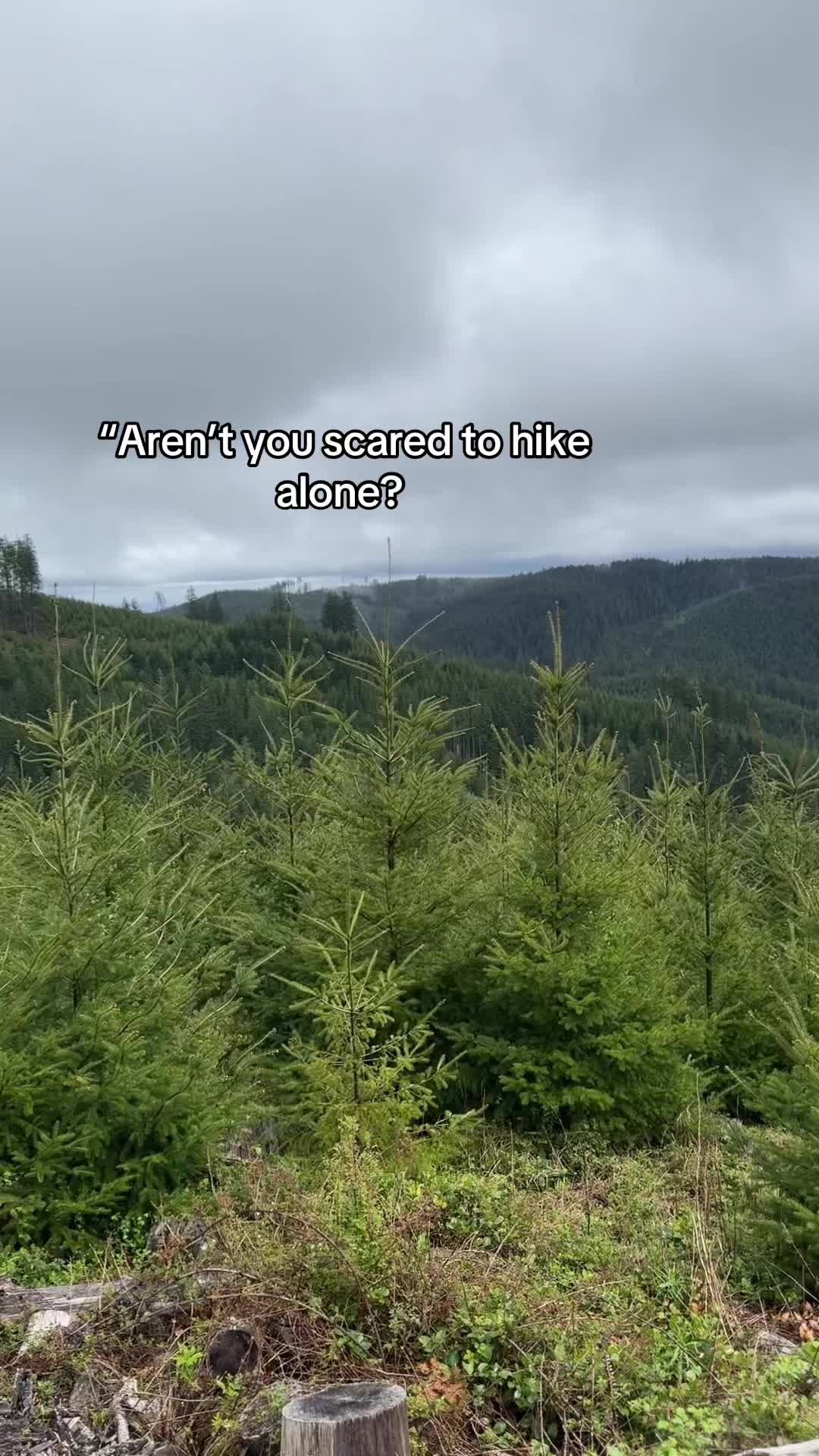 @Lastseenhuggingatree