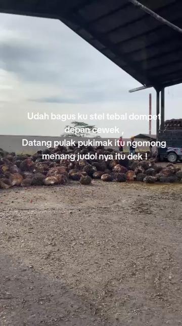 @Dedy Saputra