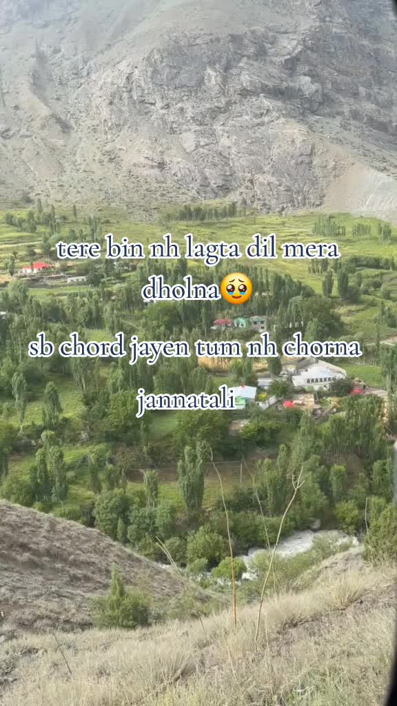 @Jannat Ali