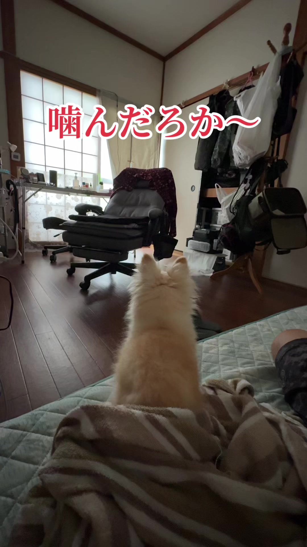 @࿗༺ 𝓚𝓪𝓽𝓾𝔂𝓪  ༻࿘