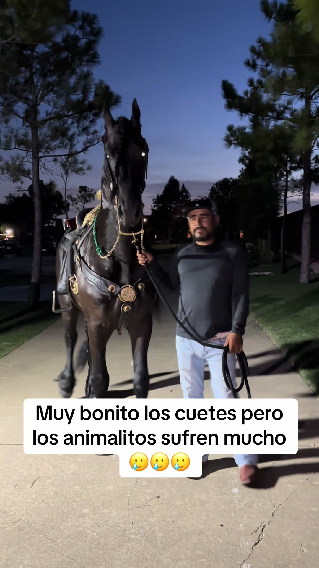 @Ranchoelnaturalito