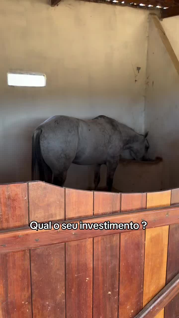 @Paulo Feitoza