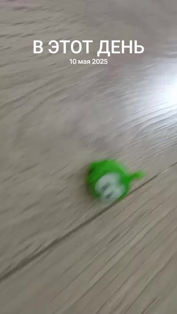 @🕶Очки домера🕶 @