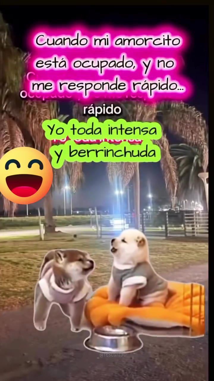 @Lulu Gomez