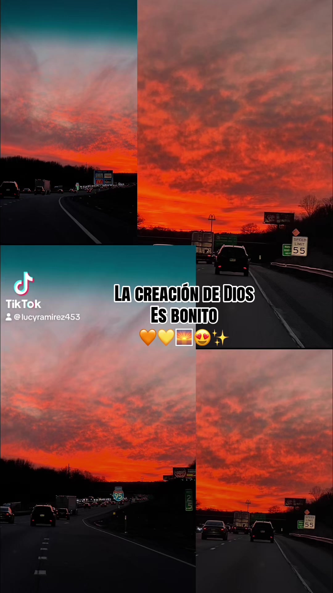 @lucyramirez453