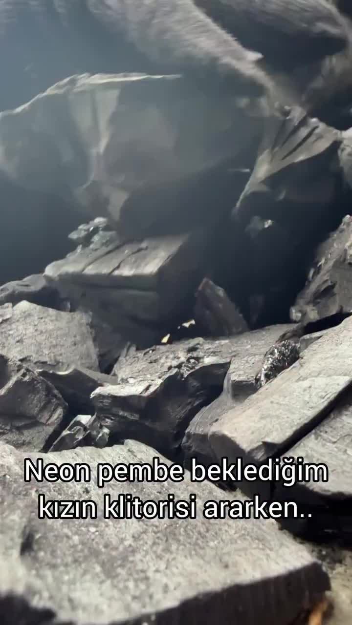 @lanetkel
