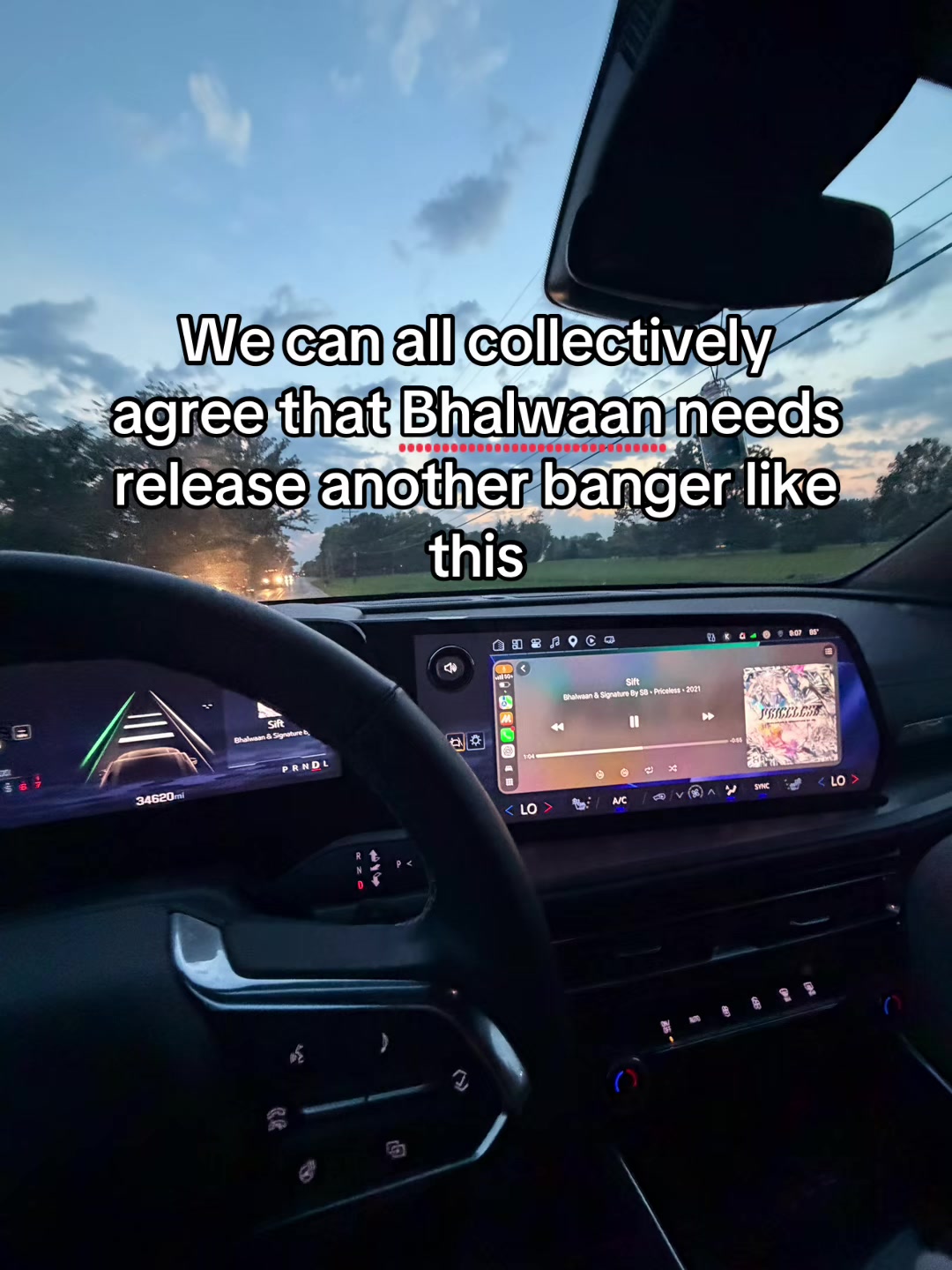 @Capybara Singh