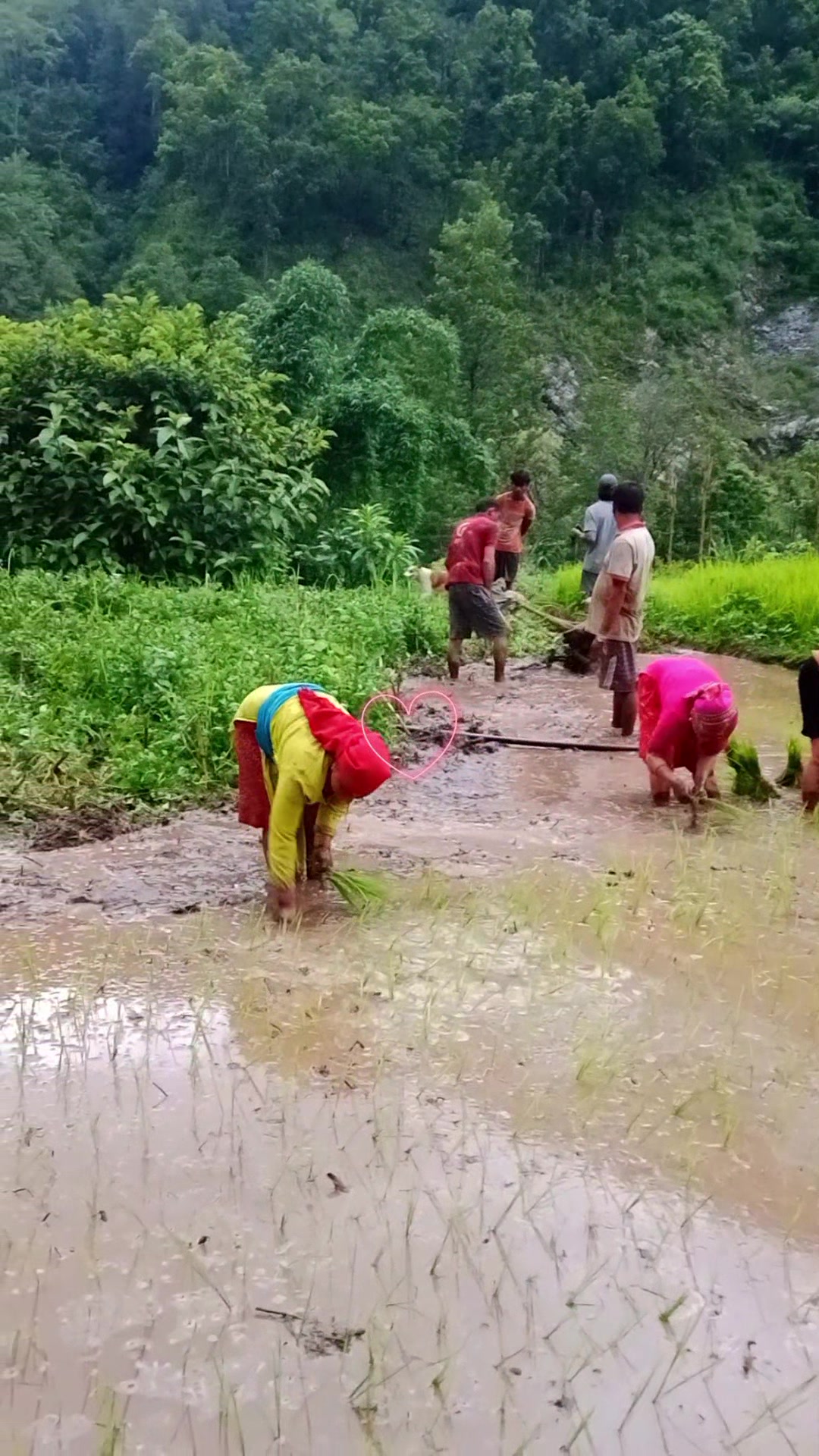 @Krishna Adhikari