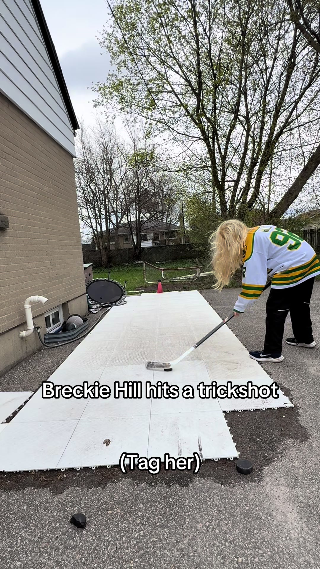 @Hockey Legend
