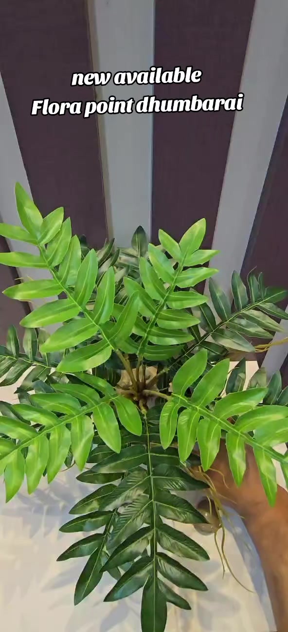 @Flora_p0int-dhumbarahi