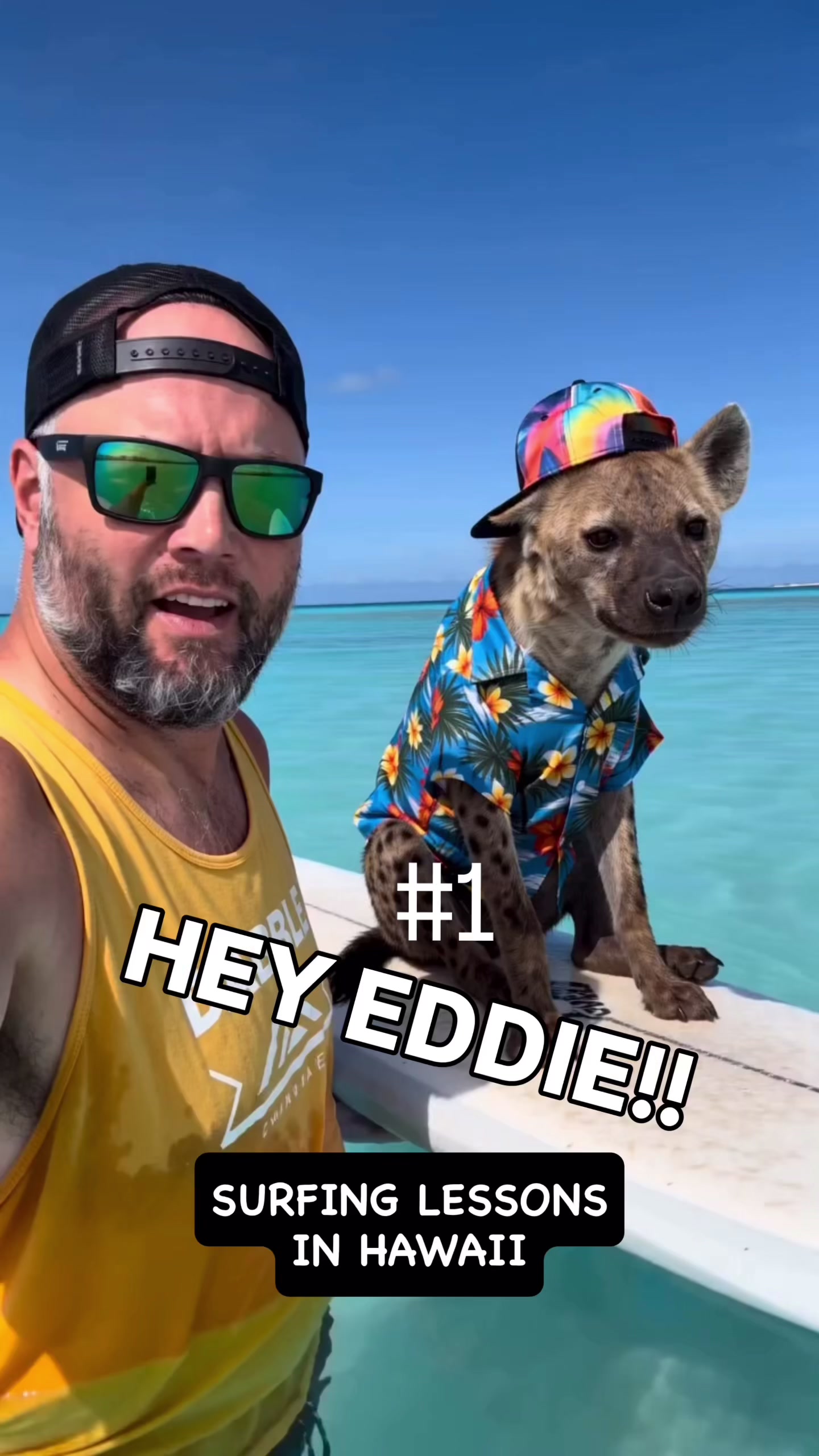 @EddieTheHyena