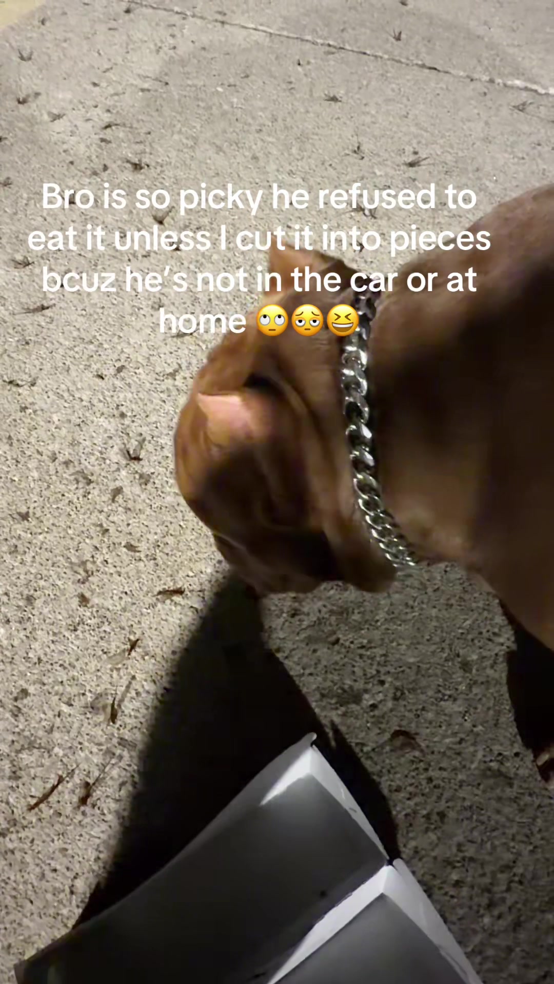 @FkThaFameOfficial