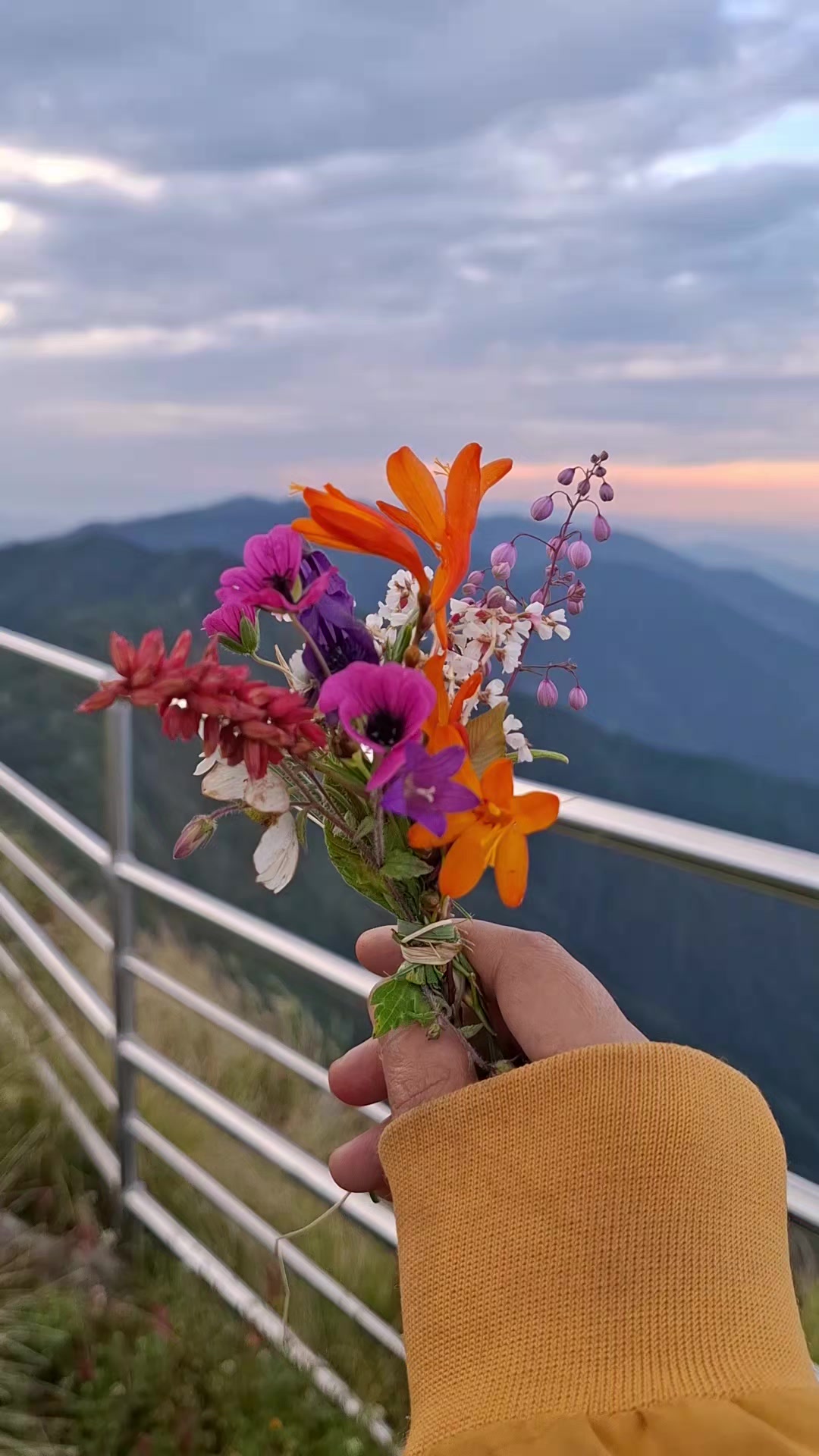 @😇ड्रिम RSL🥰🇳🇵
