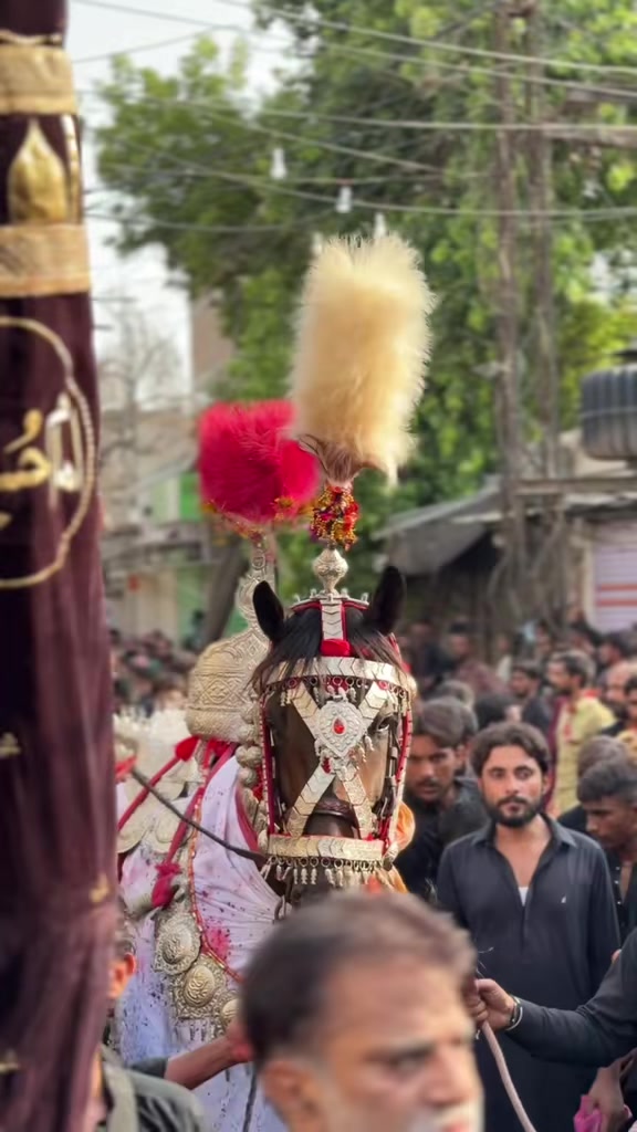 @Najaf Ali Memon 👑