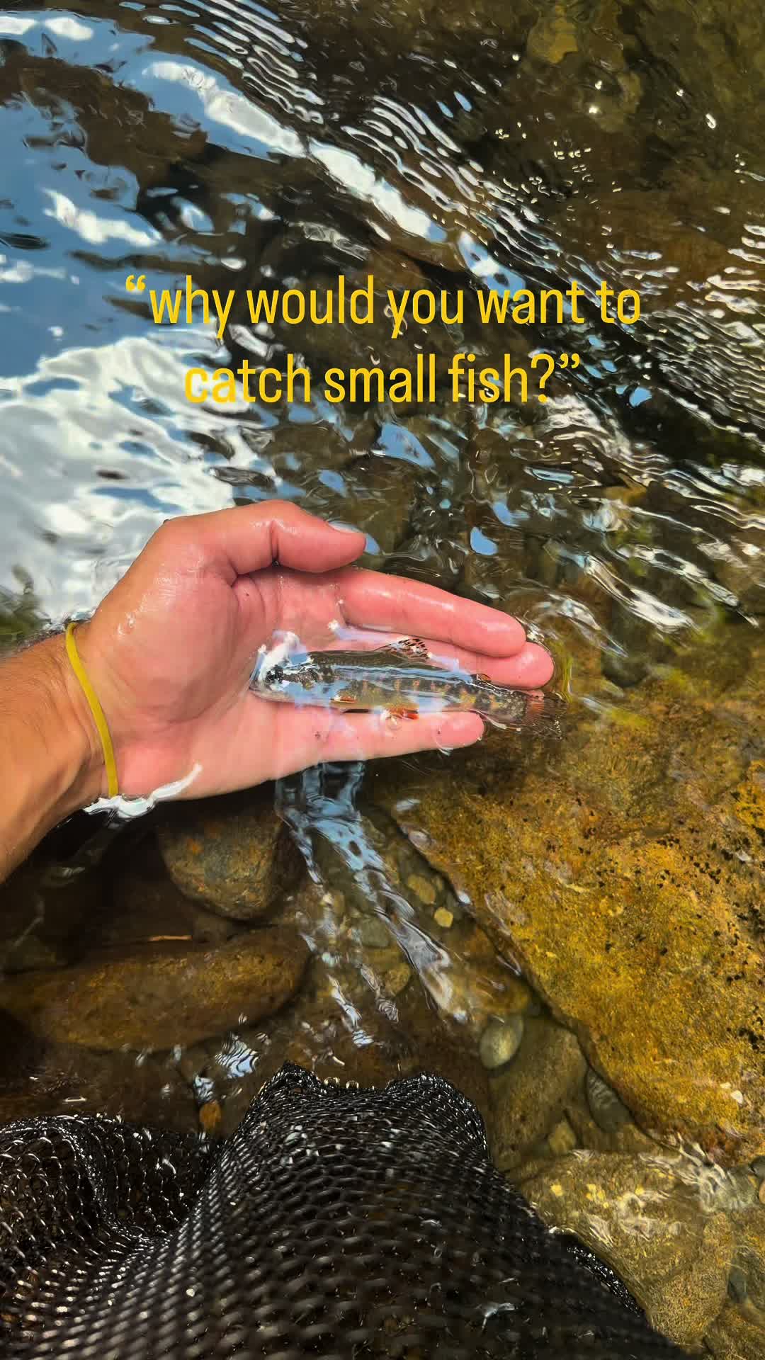 @𝙅𝘽