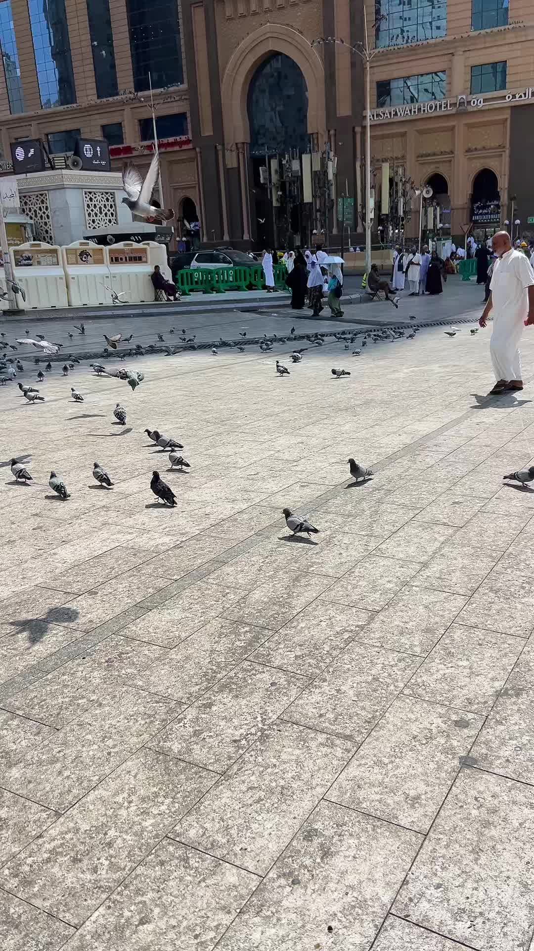 @Haramain sharifain