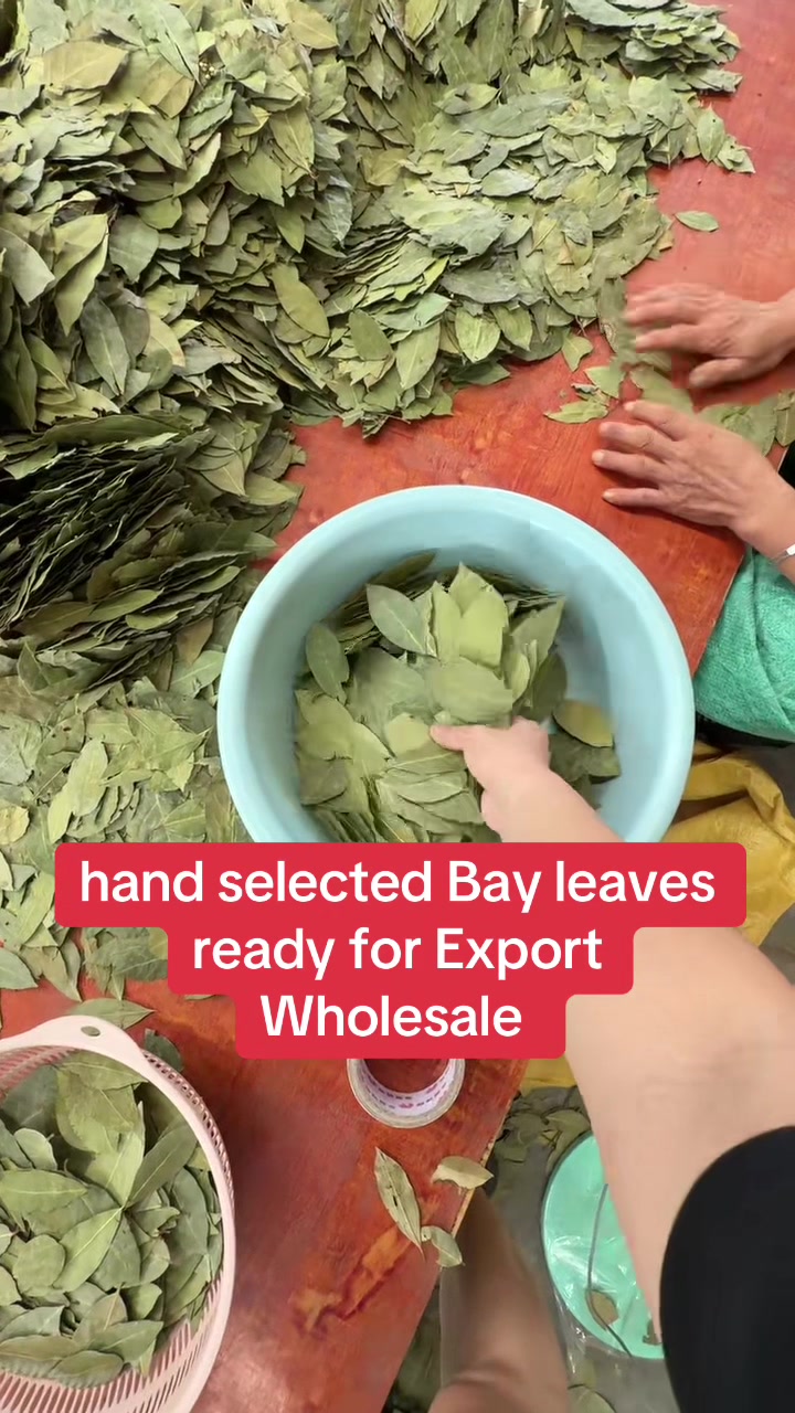 @Bxhspices(ChinaSpicesSupplier)