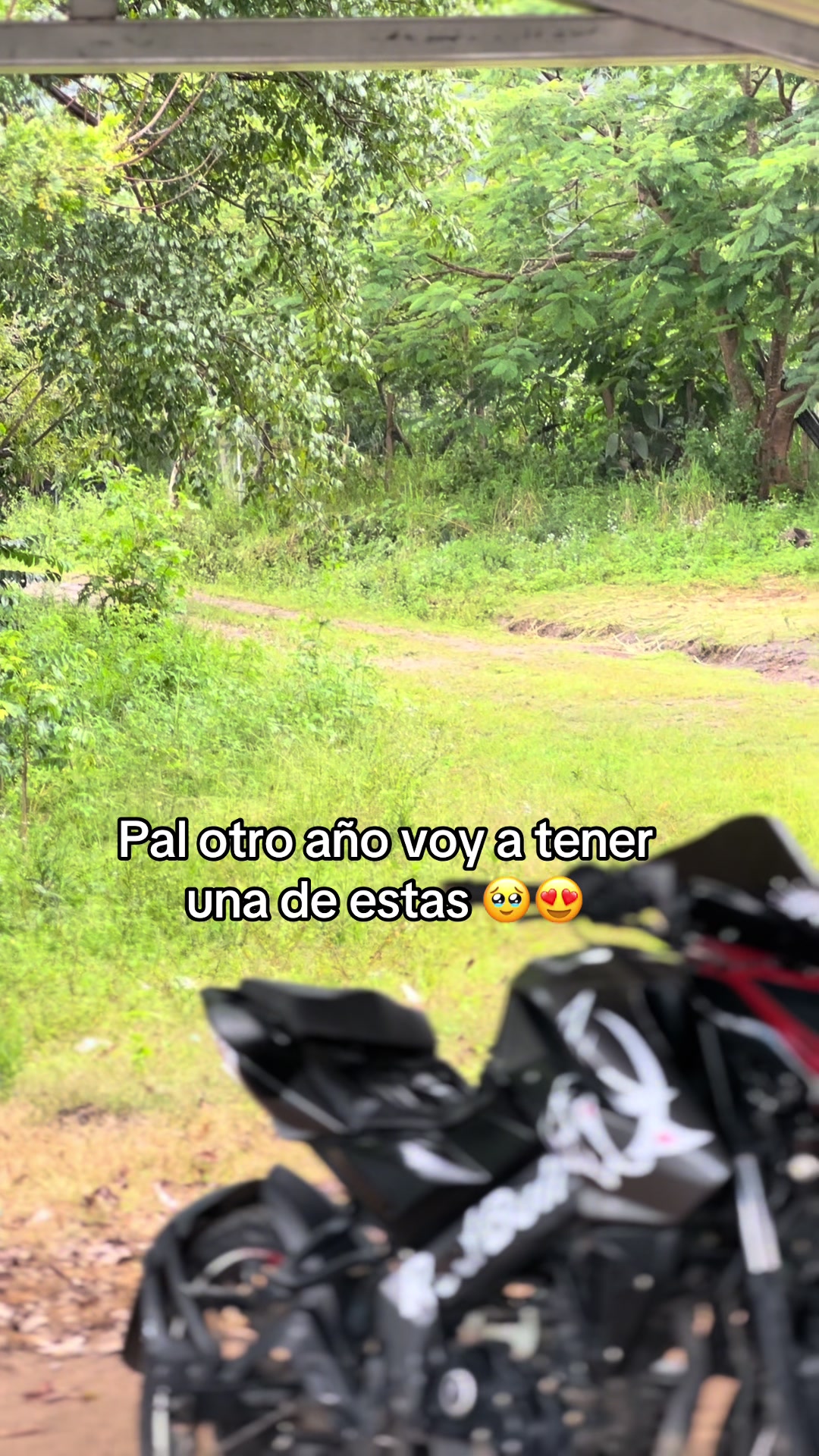 @ . >niñotrueno🦥🌫️🦦